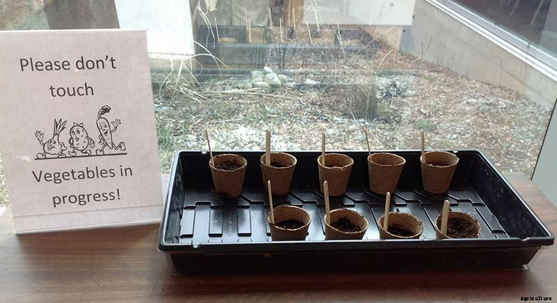 5 Public Libraries That Have Gone to Seed (Libraries)