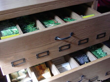 5 Public Libraries That Have Gone to Seed (Libraries)