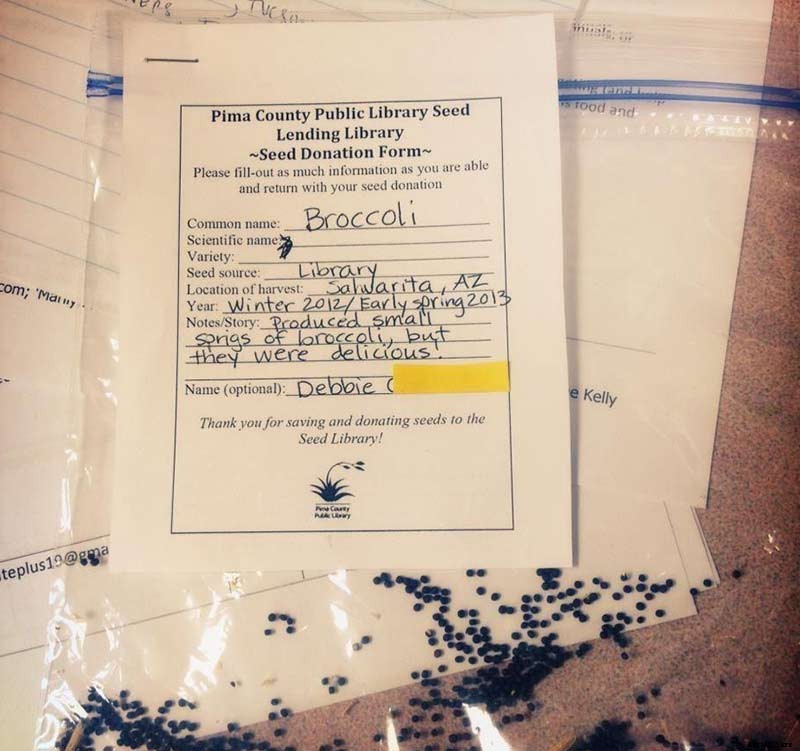 5 Public Libraries That Have Gone to Seed (Libraries)