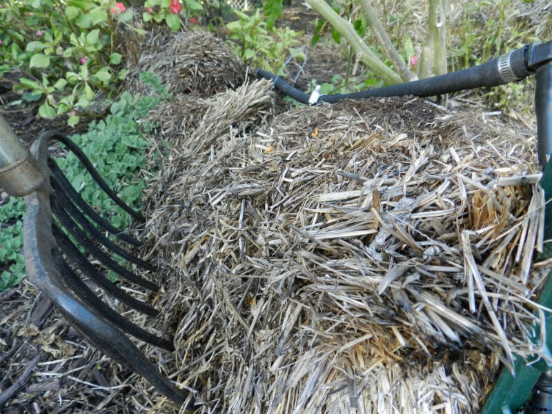 How to Build a Straw Bale Garden