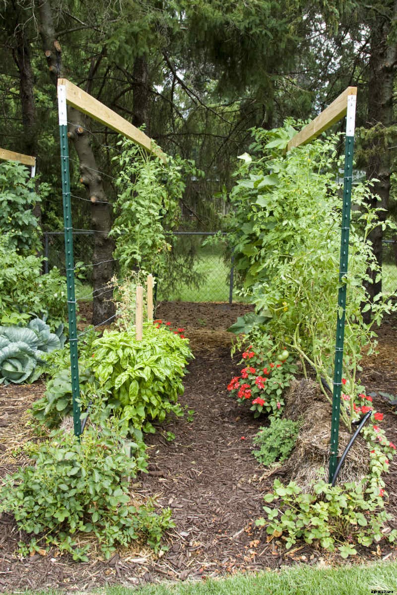 How to Build a Straw Bale Garden
