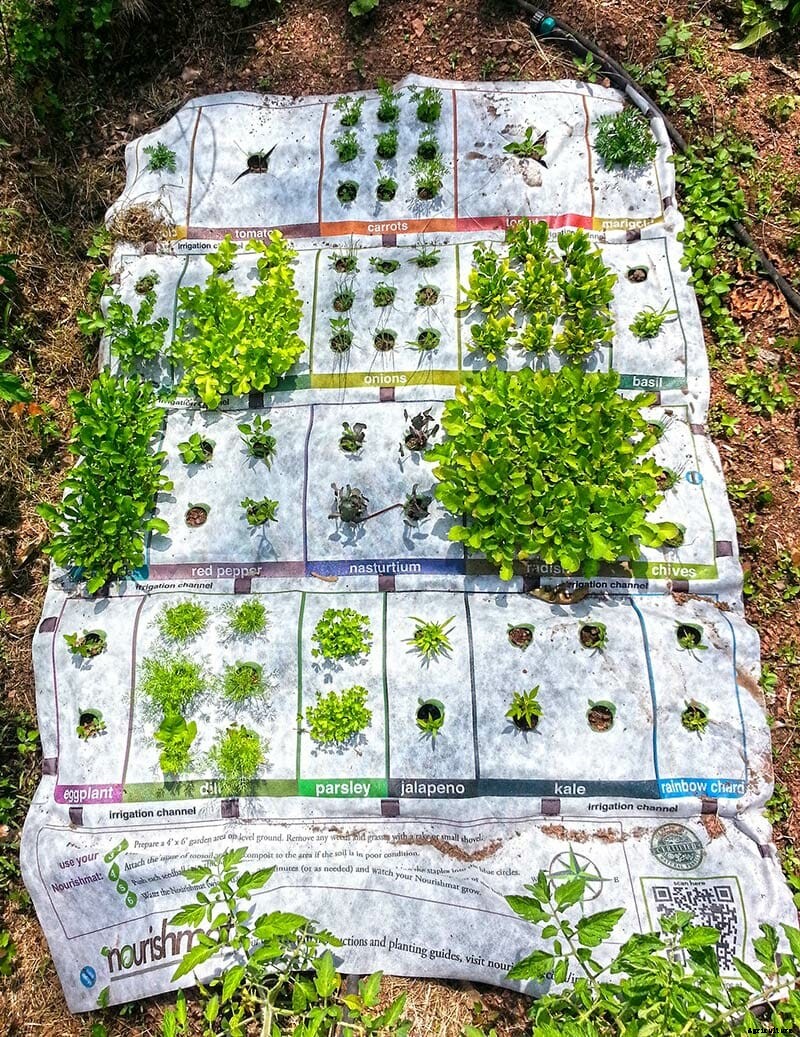 How Does Your Garden Grow? Easily, With a Nourishmat