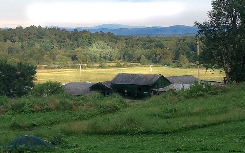 Will Hops Save This Family Farm?