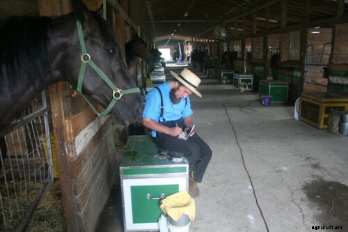 From the Racetrack to the Buggy