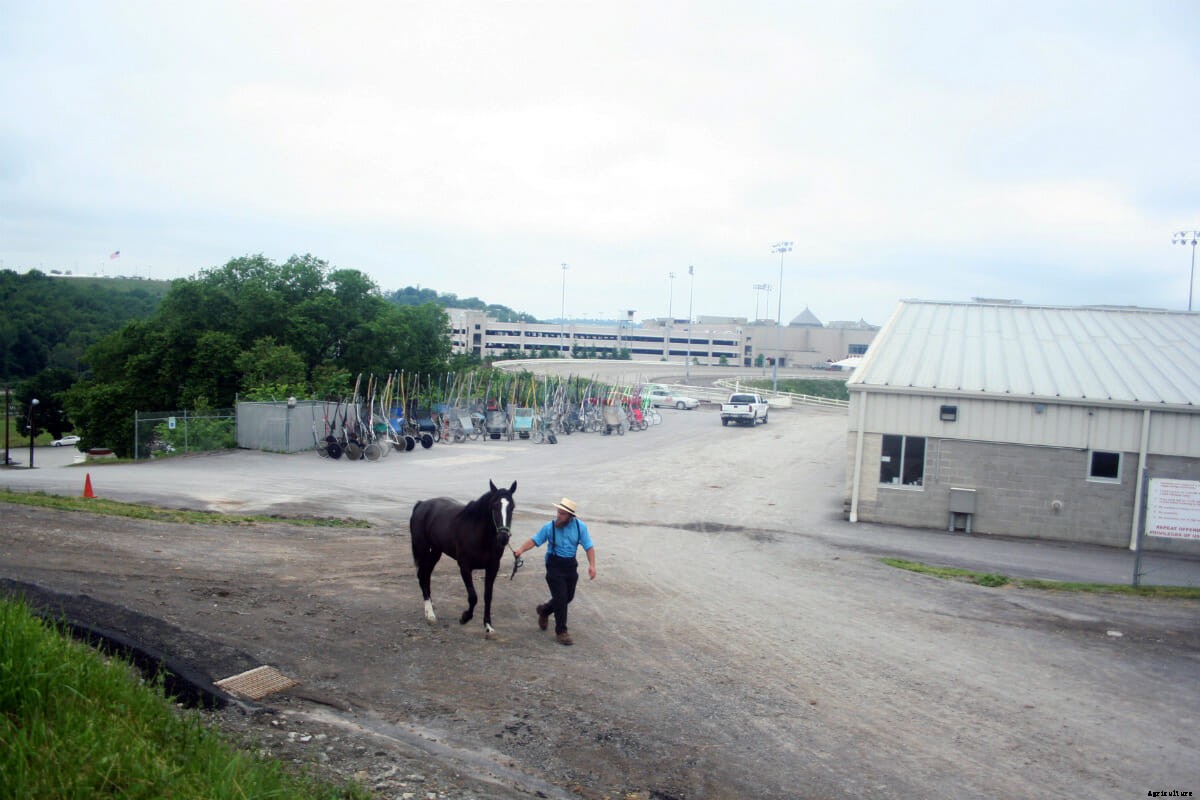 From the Racetrack to the Buggy