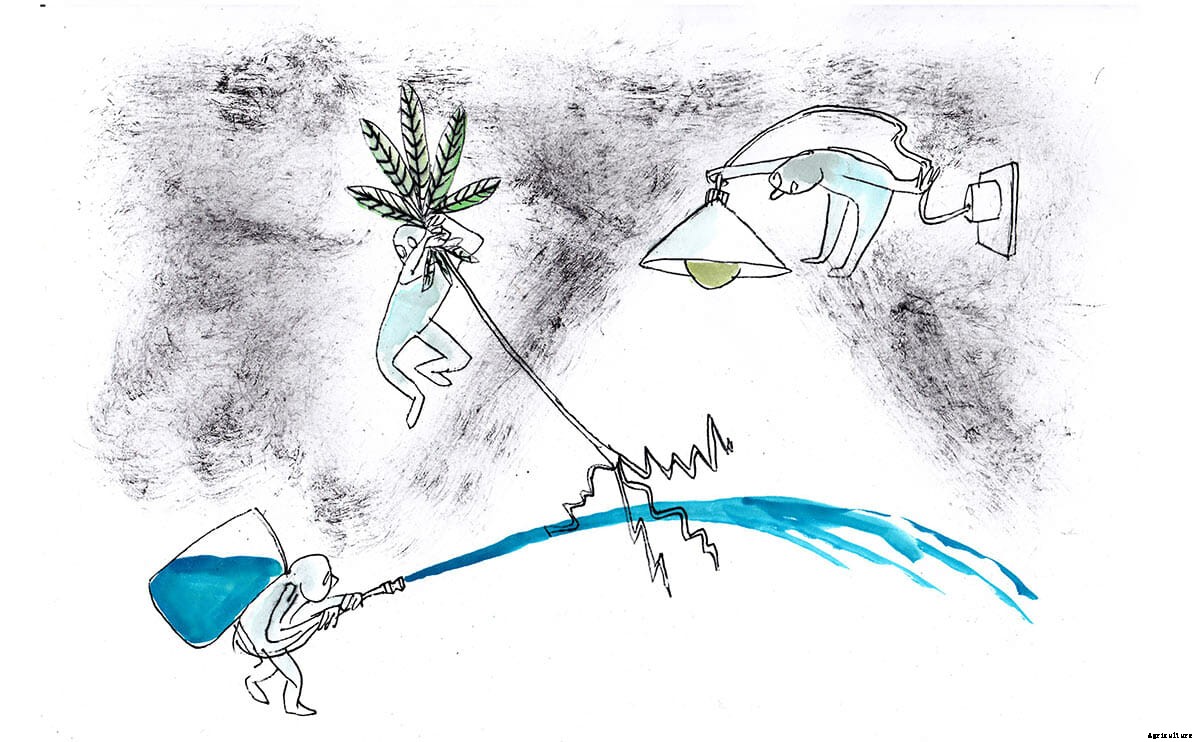 Dirt-Free Farming: Will Hydroponics (Finally) Take Off?