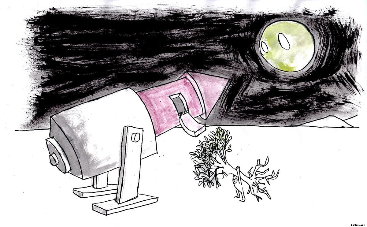 Dirt-Free Farming: Will Hydroponics (Finally) Take Off?