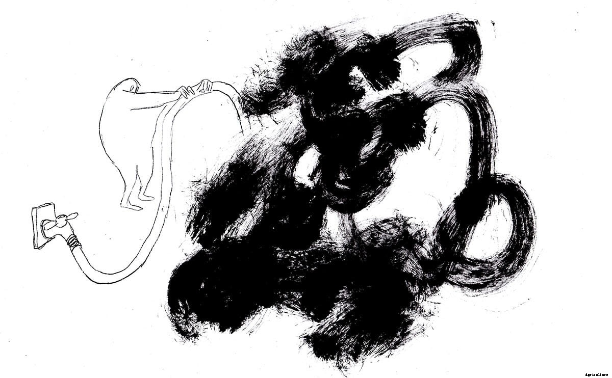 Dirt-Free Farming: Will Hydroponics (Finally) Take Off?