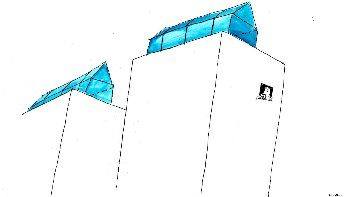 Dirt-Free Farming: Will Hydroponics (Finally) Take Off?