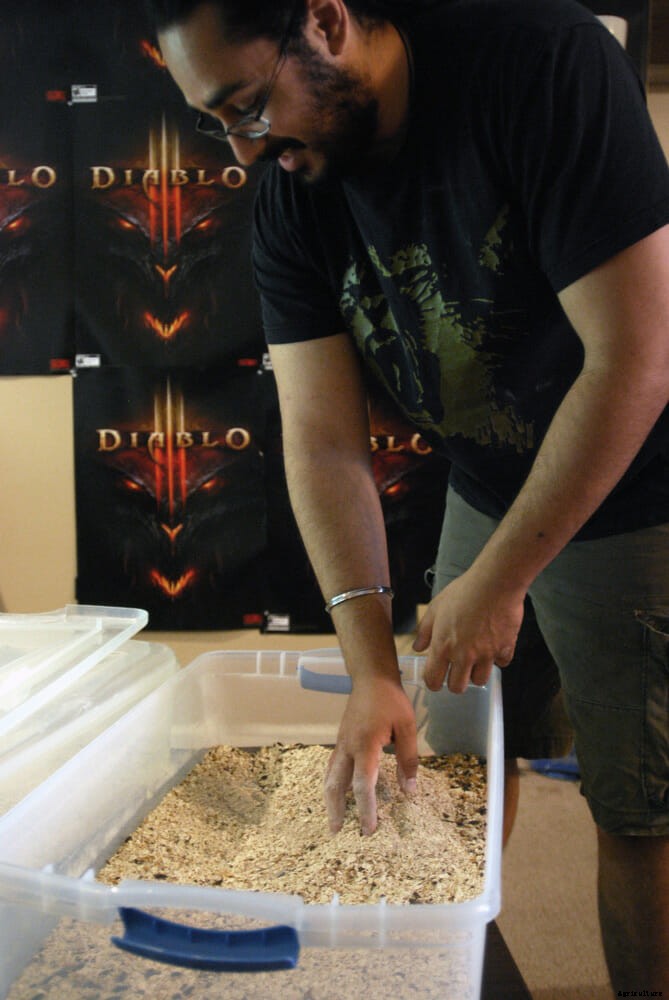 Meal Worms: Apartment Bug Farm Is Big Business