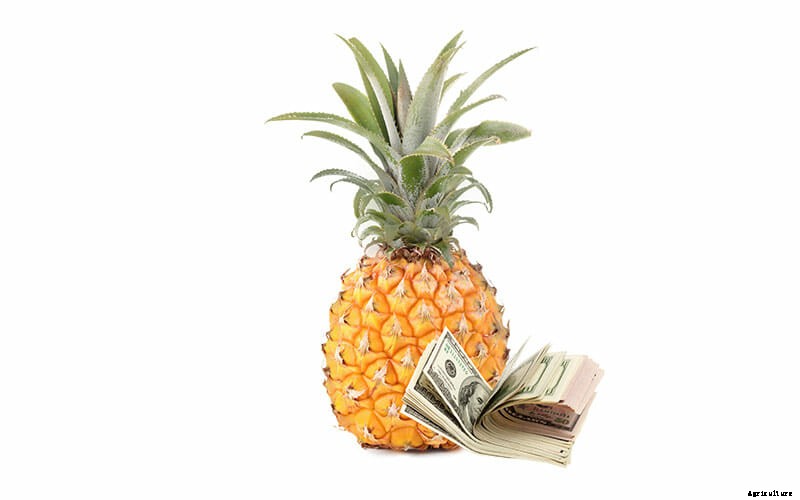 The World’s Priciest Produce