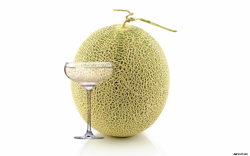 The World’s Priciest Produce