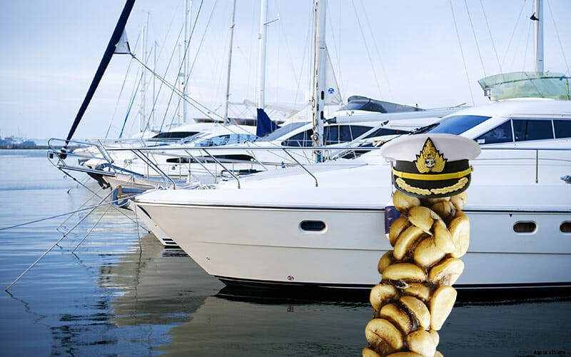 The World’s Priciest Produce