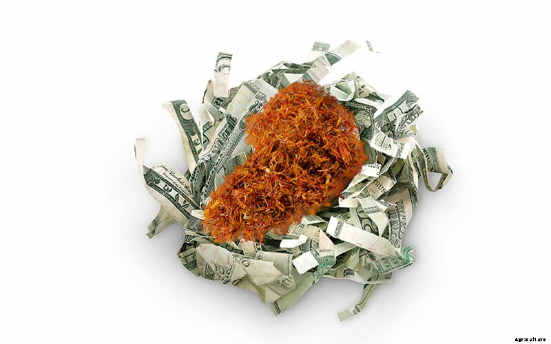 The World’s Priciest Produce