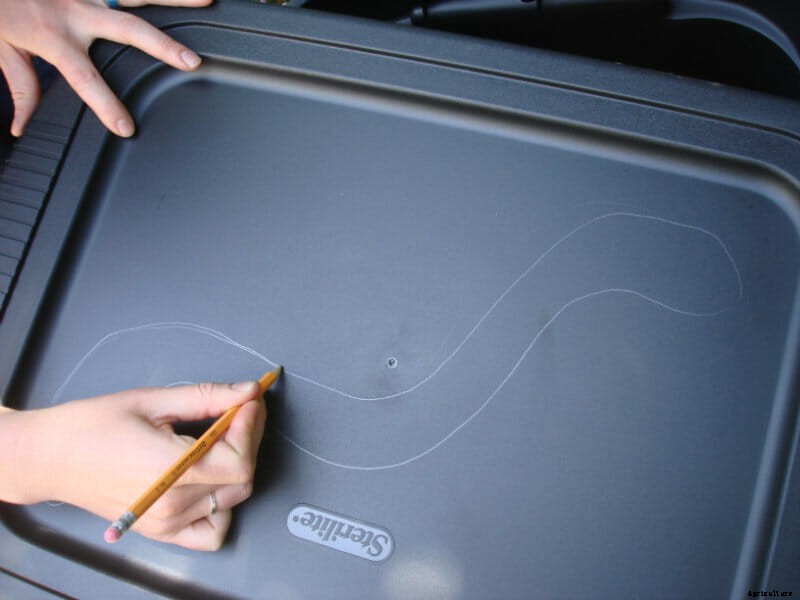 How To Build a Worm Farm