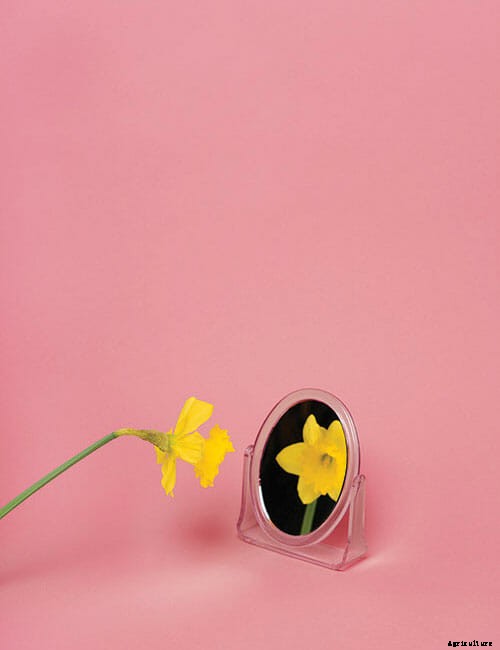 Inside The Secret World of Plant Communication