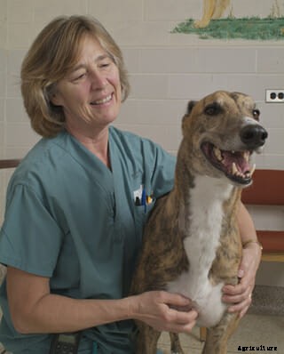 Pour Some Sugar on Me