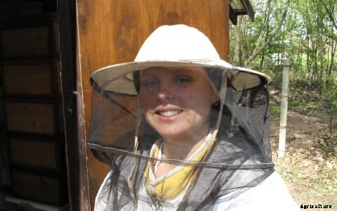 A Bee Hive Grows in Berlin