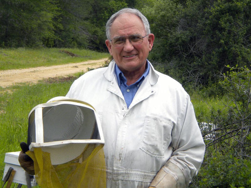 Honey Laundering: A Primer