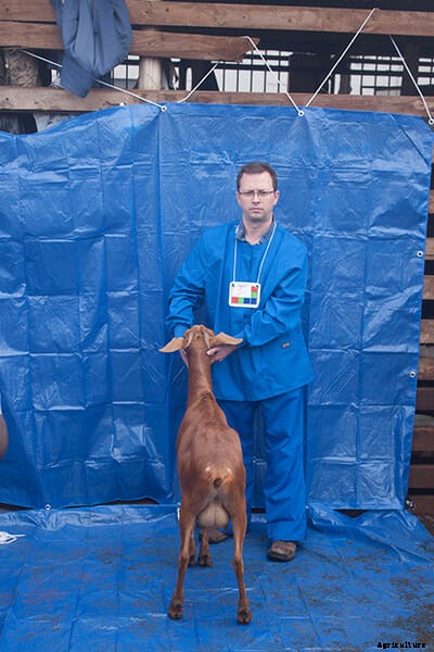 This Will Be the World’s First Global Goat Database