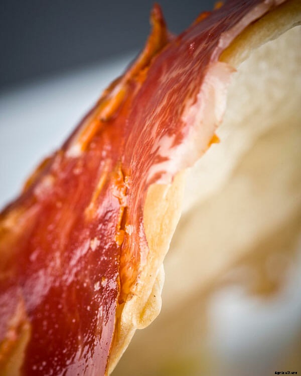 The Farmivore: Cooking with Plankton