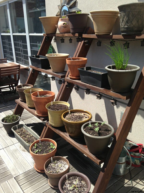 What Are You Planting Right Now? Part 2