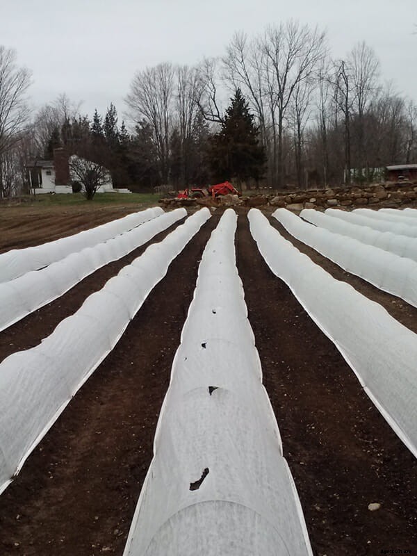 What Are You Planting Right Now? Part 2