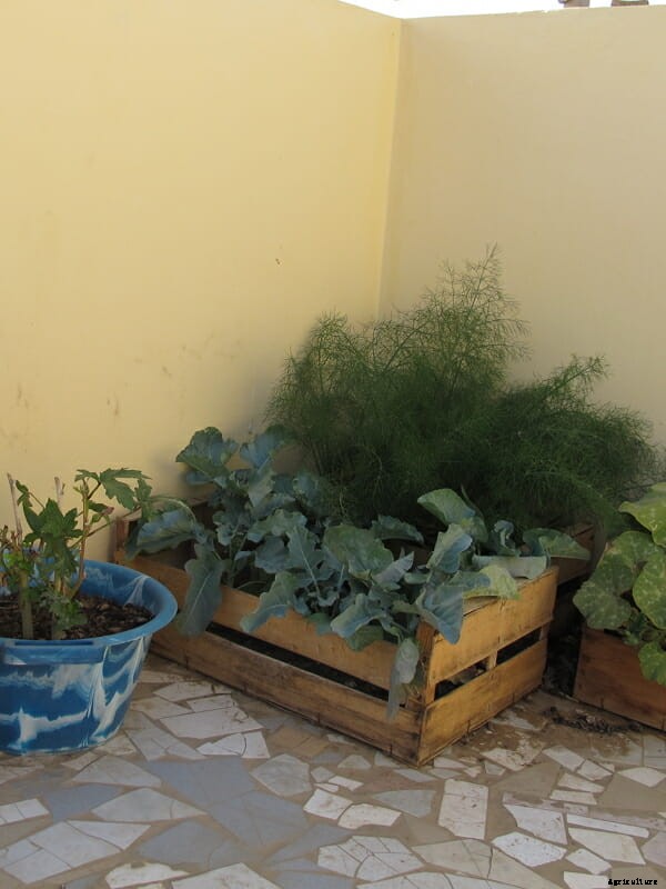 What Are You Planting Right Now? Part 2