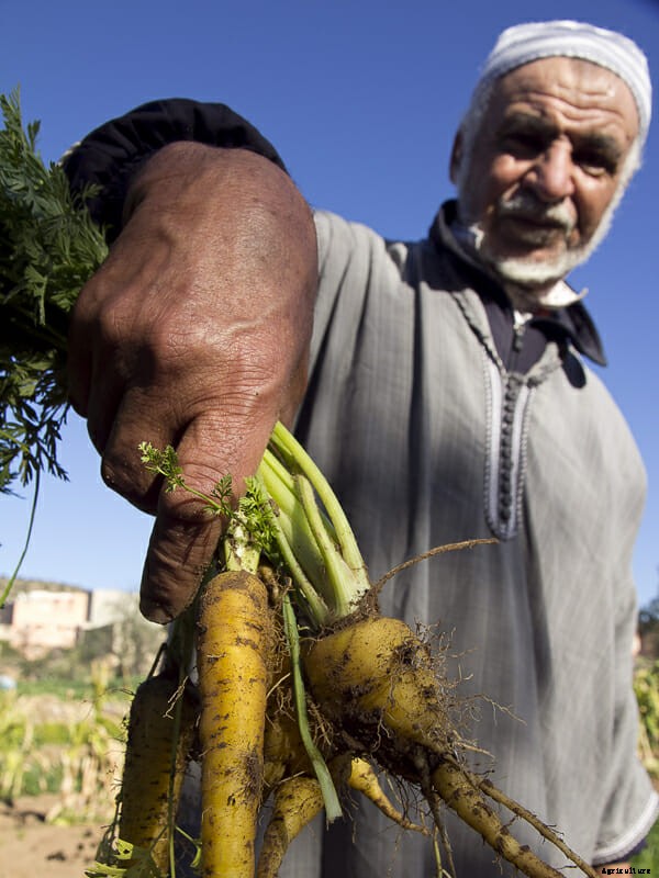 What Are You Planting Right Now?