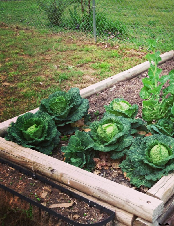 What Are You Planting Right Now?