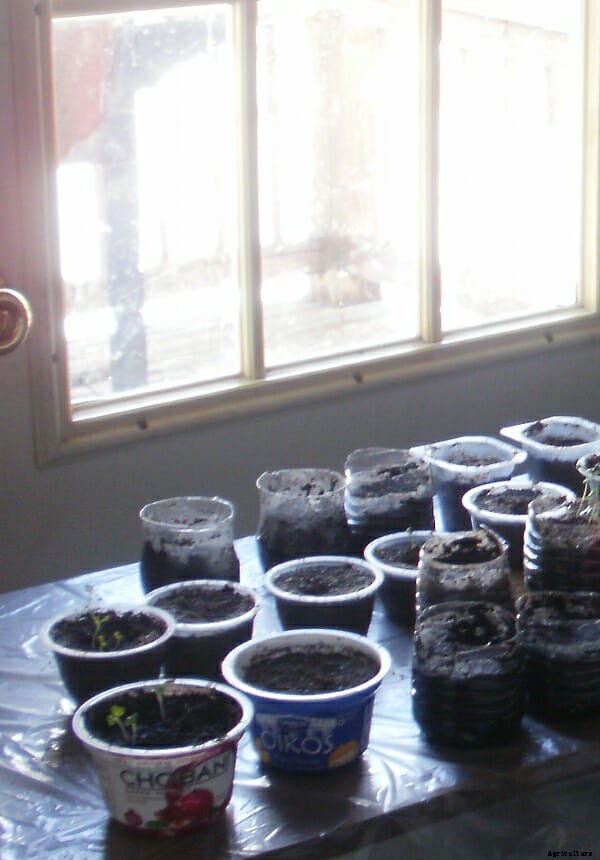 What Are You Planting Right Now?