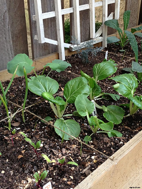 What Are You Planting Right Now?