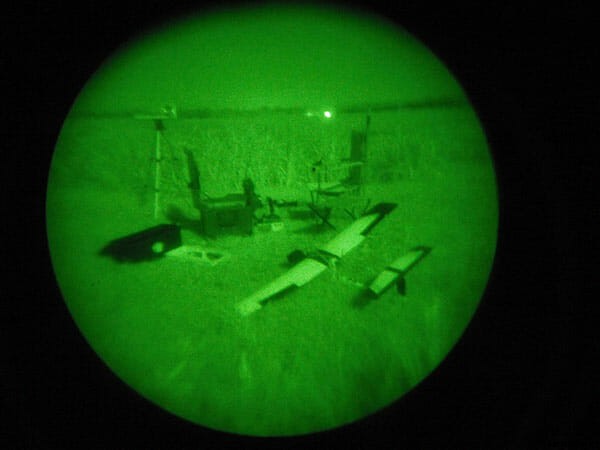 Who Can Stop These Adorable Pigs?