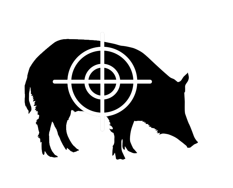 Who Can Stop These Adorable Pigs?