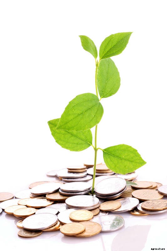 27 Pictures of Plants Growing Out of a Pile of Coins