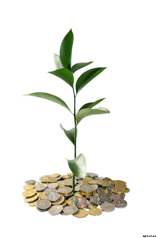 27 Pictures of Plants Growing Out of a Pile of Coins