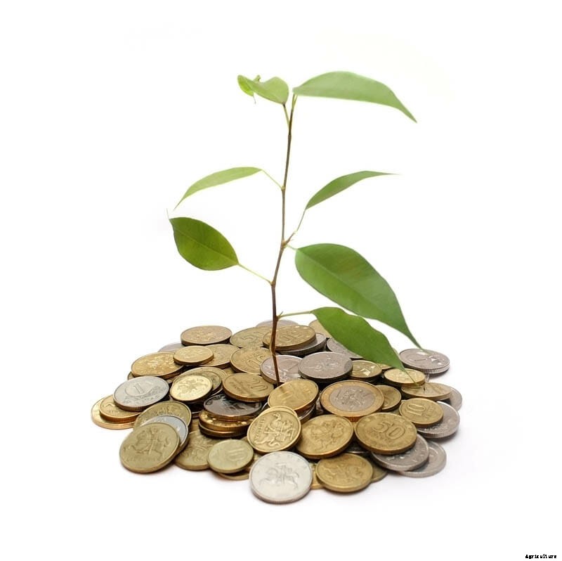 27 Pictures of Plants Growing Out of a Pile of Coins