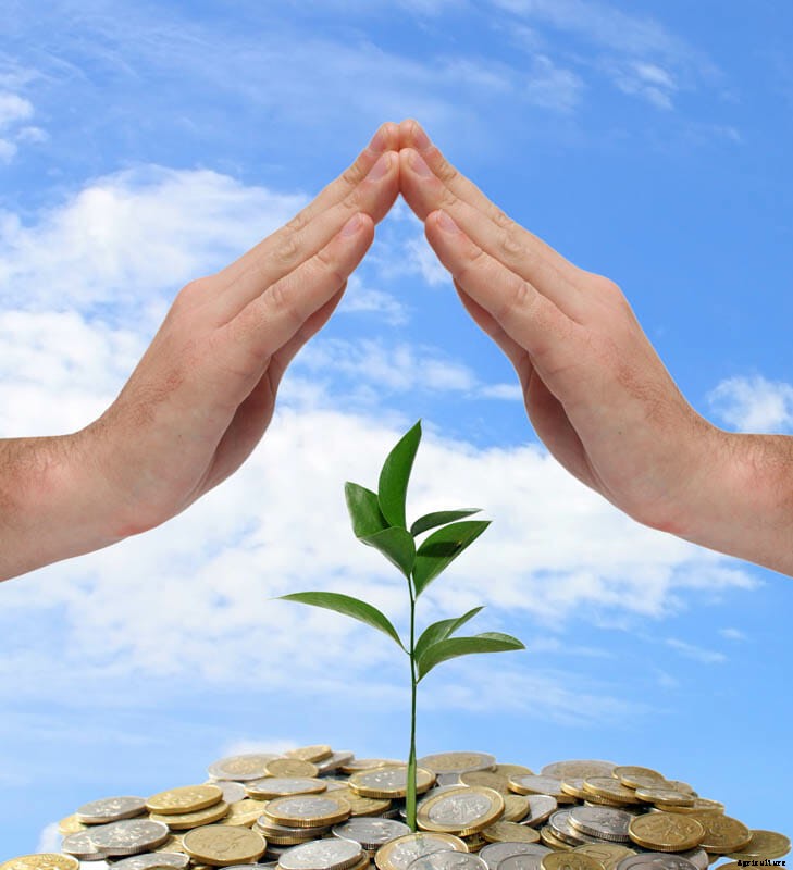 27 Pictures of Plants Growing Out of a Pile of Coins