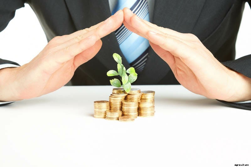 27 Pictures of Plants Growing Out of a Pile of Coins