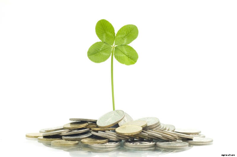 27 Pictures of Plants Growing Out of a Pile of Coins