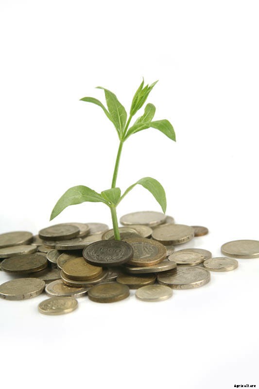 27 Pictures of Plants Growing Out of a Pile of Coins