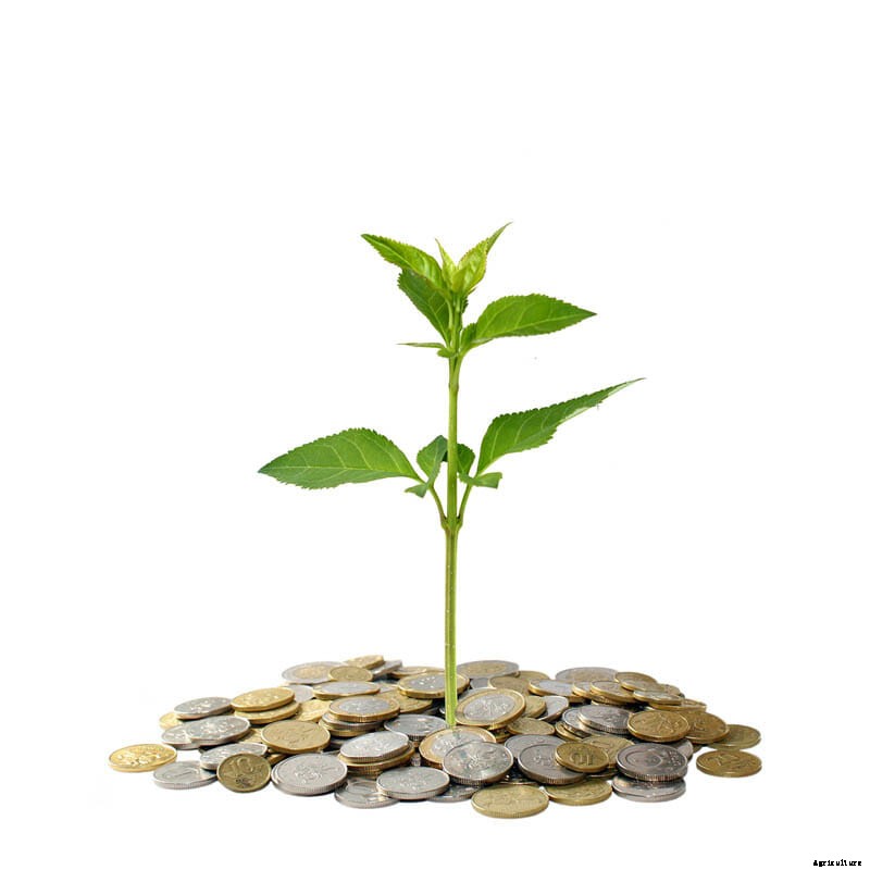 27 Pictures of Plants Growing Out of a Pile of Coins