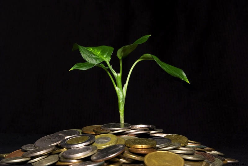 27 Pictures of Plants Growing Out of a Pile of Coins