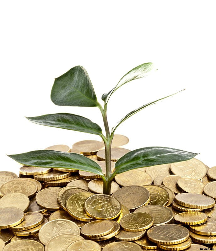 27 Pictures of Plants Growing Out of a Pile of Coins