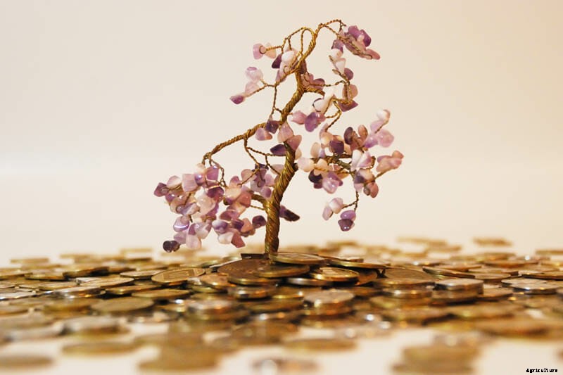 27 Pictures of Plants Growing Out of a Pile of Coins