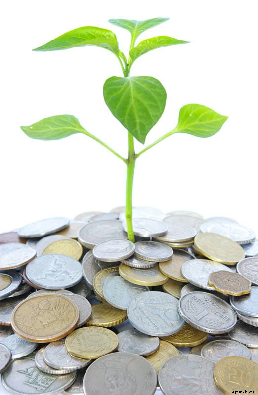 27 Pictures of Plants Growing Out of a Pile of Coins