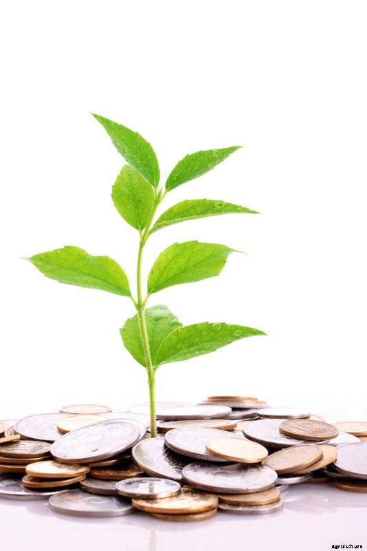 27 Pictures of Plants Growing Out of a Pile of Coins