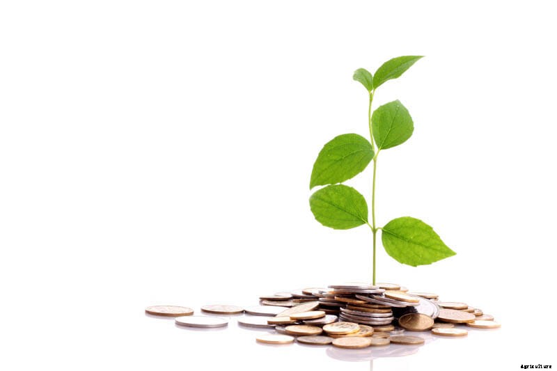 27 Pictures of Plants Growing Out of a Pile of Coins