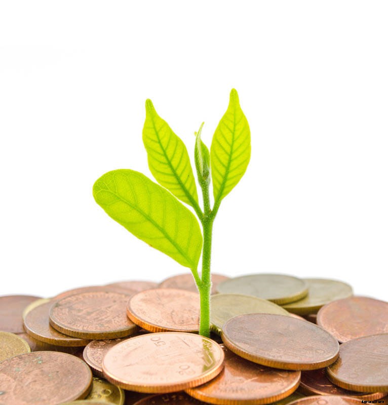 27 Pictures of Plants Growing Out of a Pile of Coins