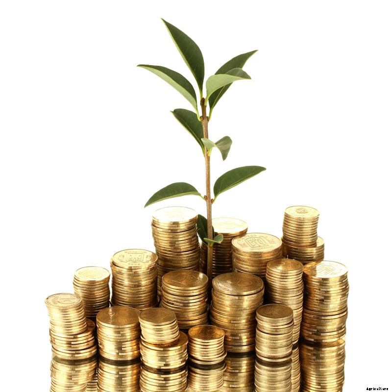 27 Pictures of Plants Growing Out of a Pile of Coins